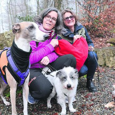 Liebe über den Hund - Zwei- und Vierbeiner sollen sich bei einem Spaziergang kennenlernen, so die Idee von Natalie Juchli (links) und Diana Miljkovic-Tobler. Mit dabei auch Juchlis Hunde (v. l.) Cielo, Jimmy und Yumi. Bild: Sabrina Salm