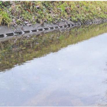 Ökologische Vielfalt steigern - Der Girizkanal soll von seiner Beton-Gitterstein-Sohle befreit werden. Bild: tst
