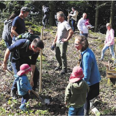 Jedem Kind ein Lebensbaum - Beim Baumpflanzen für die jüngsten Eggenwilerinnen und Eggenwiler helfen alle mit. Bild: Stefan Treier