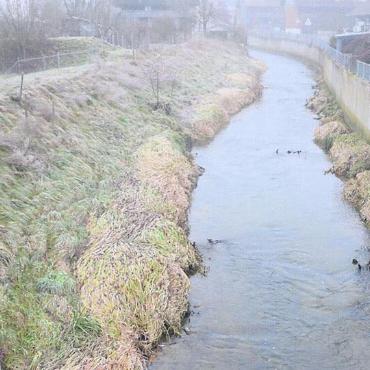 Renaturierung als nächster Schritt - Bis zur Mattenhofbrücke ist der Hochwasserschutz in Jonen gewährleistet. Bild: tst