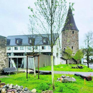 Augraben – Ende der Geschichte? - Der neu geplante Abfallsammelstandort gut 50 Meter vom Hexenturm entfernt: Das Plätzchen wurde vor noch nicht allzu langer Zeit ökologisch aufgewertet. Der Baumstamm und der Steinhaufen werden künftig umplatziert. Der Bereich um die künftigen Unterflur-Container soll gepflastert werden und von Büschen umgeben sein. Bild: Marco Huwyler