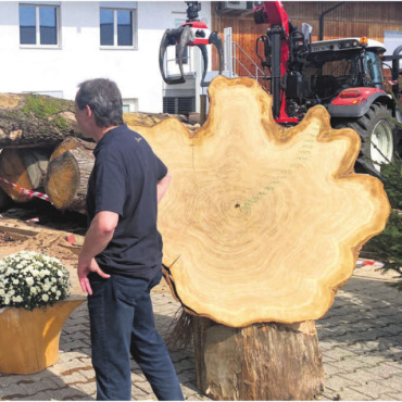 Alles rund ums Holz - Wie es nach dem Baumfällen mit dem geernteten Holz weitergeht, ist von vielen Faktoren abhängig. Experten erzählten in Bremgarten von ihrer Arbeit. Bild: Samuel Seiler