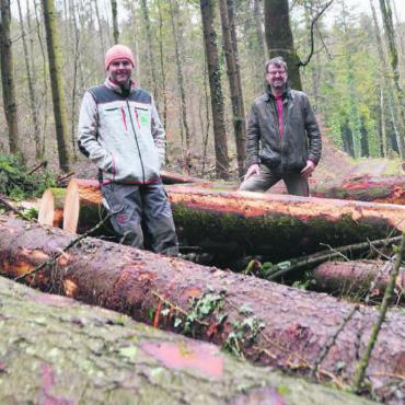 «Das muss doch unser Holz sein» - Tannen und Fichten mit 30 bis 50 Zentimetern Durchmesser sind ideal. Dass damit die Trainingshalle gebaut wird, freut Oliver Eichenberger (links) und Beat Küng. Bild: Annemarie Keusch