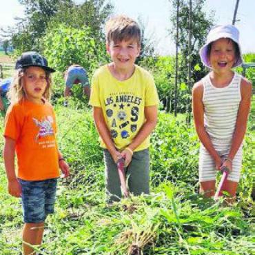 Einzigartiges Erlebnis - Arbeit auf dem Bauernhof macht Spass.