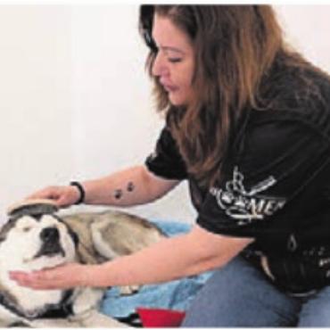 Lieber Hunde als Menschen - Frick widmet sich der Fellpflege. Bild: huy