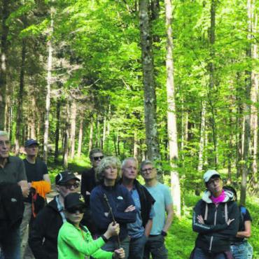 Wald leistet Unglaubliches - Ob Energieholz, Rückegassen oder Artenvielfalt: Betriebsleiter Urs Huber (rechts) organisierte einen vielfältigen Waldumgang im Kelleramt. Bilder: Annemarie Keusch