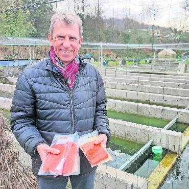 Unkonventionelle Erfolgsgeschichte - Unter Thomas Rüppel entwickelte sich die Fischzucht Bremgarten zum gefragten Produzenten regionaler Fischprodukte. Bild: Marco Huwyler