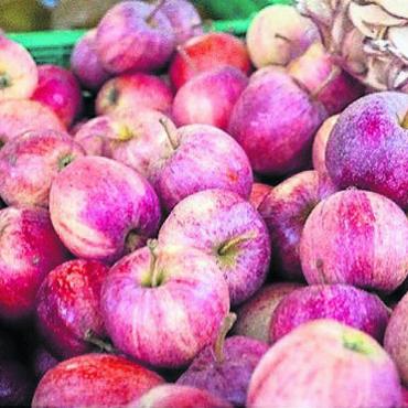 Frische Äpfel im Abo - Der Sonnhaldenhof liefert auf Bestellung regelmässig Äpfel.