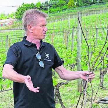 Stadtberger neu kennenlernen - Mario Müller kennt seine Reben wie kaum Einer und kann sie auch beschreiben.