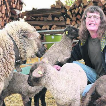 Der ganze Stolz der Zügers - Gisela Züger, umgeben vom Mutterschaf und den sechs Jungtieren. Bild: ake