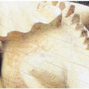 Drachen und anderes Getier - Die 13. Attraktion am Sagenweg rückt in den Fokus: das Drachenbänkli. Bild: zg