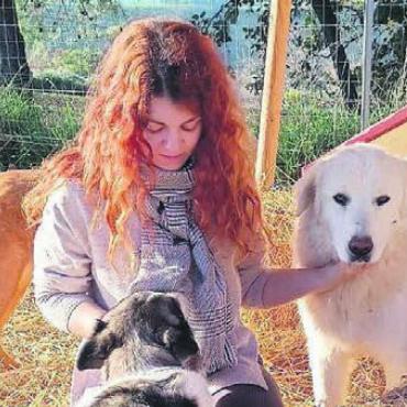 Leben den Hunden verschrieben - Alessandra Provenzano in ihrem Refugium mit einem Teil der Wunderhund-Familie.