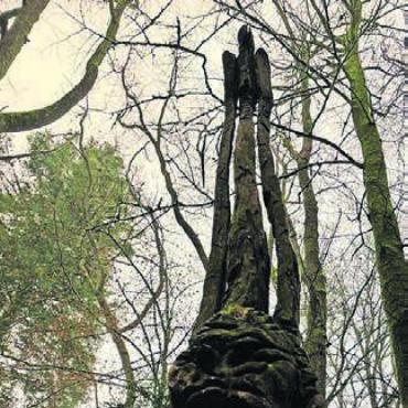 Gruselgeschichten aus dem Freiamt - Die Skulpturen wirken beim Einnachten fast gespenstisch – wie hier die Angelsachsen. Bild: zg