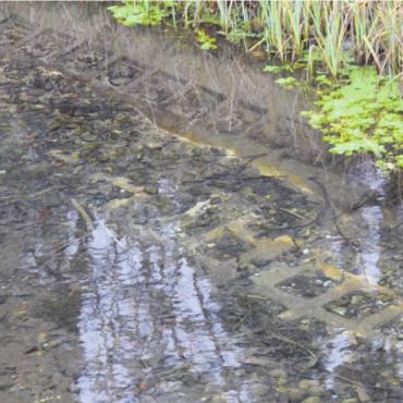 Ökologische Vielfalt steigern - In der Bachsohle sind Beton-Gittersteine verlegt.