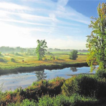 Vielfältige Natur - Das Reusstal in all seiner Pracht ist auch im Museum zu sehen. Bild: zg