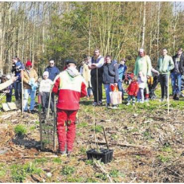 Lebensbäume gepflanzt - Reges Treiben im Wald – die Eltern pflanzen für ihre Kinder einen Lebensbaum. Bild: zg