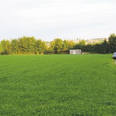 Deutliches Ja zum «Isleren»-Verkauf - Die Real North AG plant auf dem «Isleren»-Areal eine Siedlung mit 266 Mietwohnungen auf einer autofreien Fläche von 34 000 m². Bild: Archiv
