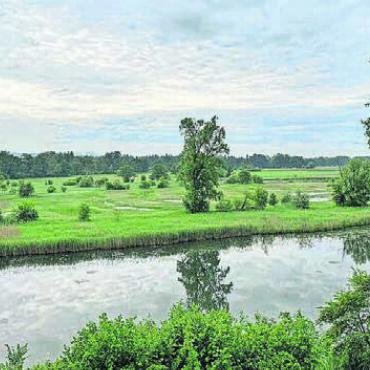Auen, Riedwiesen, Flachsee - Die Altwasser-Landschaft der Stillen Reuss fasziniert und ist vielseitiger Lebensraum. Bild: zg