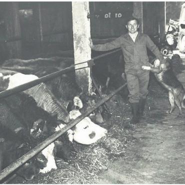 Für das Wohl der Tiere - Ein Bild aus alten Tagen: Hans Vock vor 50 Jahren auf dem Wendelinhof, damals noch mit einem konventionellen Stall.