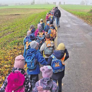 Gemeinsam draussen - Einige Klassen trafen sich am Egelsee. Bild: zg