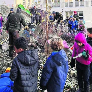 Schatten kann Leben retten - Die Schüler pflanzten Bäume. Bild: zg