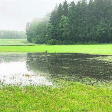 Quaken und summen erlaubt - Nach starken Regenfällen liegt im Gebiet Fischächer bereits heute oft Wasser. Bild: zg