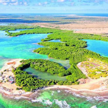 Auf der fernen Insel - Auf der Insel Bonaire wachsen fast keine hohen Pflanzen.