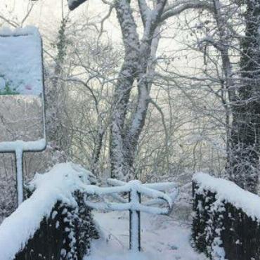 Früher Winterzauber - Zugeschneit an der Reuss bei Jonen.