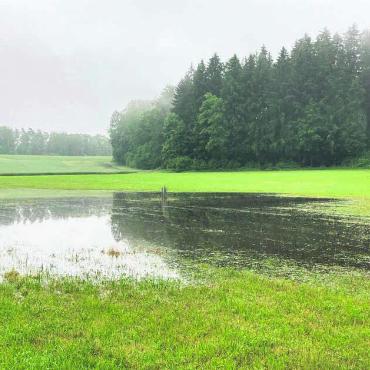 Eine Chance für die Natur ? - Die heutige IST-Situation im «Fischgraben» nach Regenfällen. Bild: zg