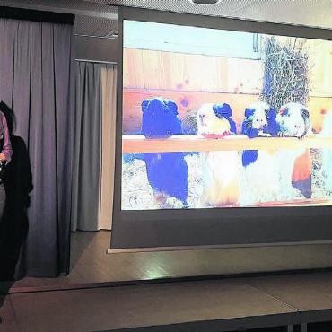 Neues Jahr wird «Tierisch gut!» - Cornelia Trinkl, Leiterin Kleintierpark, wusste viel über ihre vielen Zöglinge zu erzählen.