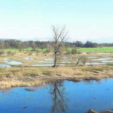 Interaktiv eintauchen - Die Altwasserlandschaft «Stille Reuss» bei Rottenschwil. Bild: zg