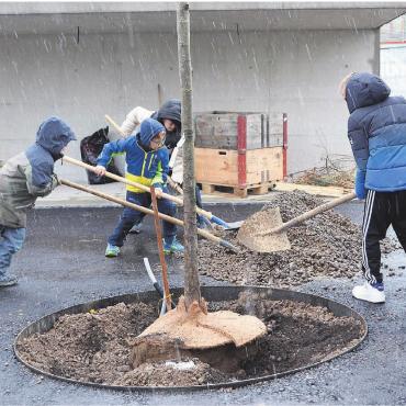 Für das gewisse Etwas - Auf die Plätze, fertig, los: Das Wetter war den Schülern beim Baumpflanzen egal. Sie griffen beherzt zur Schaufel. Bilder: Sabrina Salm