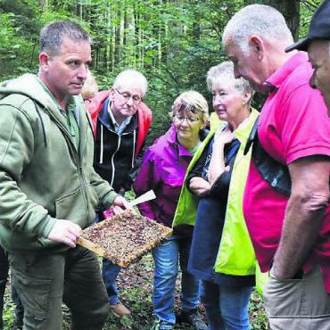 Wie der Forst den Wald pflegt - Philipp Heller (links) zeigt seine Bienenwabe.