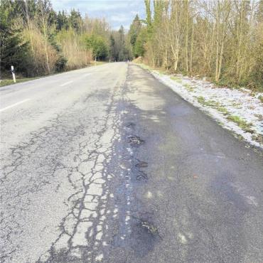 Strasse Bünzerwald bald gesperrt - Die Strasse im Wald zwischen Bünzen und Hermetschwil hat eine Sanierung nötig. Bild: zg
