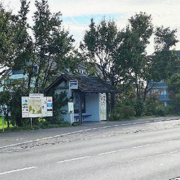 Hindernisfreies Reisen - Bushaltestelle «Zentrum» Fahrtrichtung Niederwil: Hier soll auch die Bepflanzung (rechts) angepasst werden. Bilder: Sabrina Salm