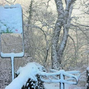 Das bleibt in Erinnerung - 3. Dezember: Der Schnee «verzuckerte» Landschaften wie hier in Jonen.