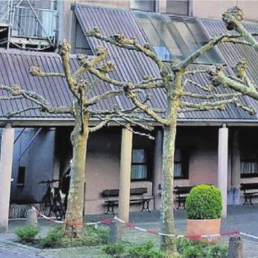 Gemeinderat empfiehlt ein Ja - Der Eggenwiler Gemeinderat steht hinter den Plänen, im Alterszentrum Bärenmatt in Bremgarten für 38 Millionen Franken Pflegeplätze zu bauen. Bild: Archiv
