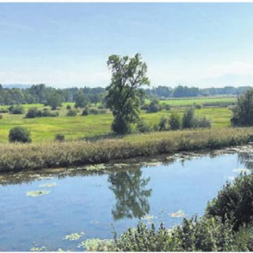 Auen, Riedwiesen, Flachsee - Ökologisch wertvolle Altwasser-Landschaft. Bild: zg