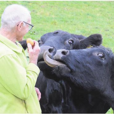 Für das Wohl der Tiere - Hans Vock weiss genau, was seine Tiere mögen. Und hat darum immer ein paar Kartoffeln in der Tasche.