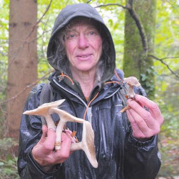 Das Unbekannte fasziniert sie - Pamela Roesch mit Nebelkappen, die sie im Joner Wald gefunden hat. Seit Kurzem sind diese nicht mehr auf der Liste der Speisepilze. Bild: Annemarie Keusch