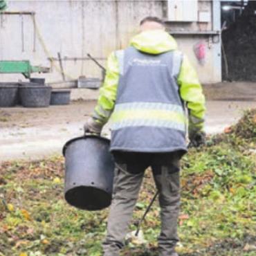 Unnötige Mehrarbeit - Das Entfernen des Plastiks ist Handarbeit. Und mühsam. Bild: chh