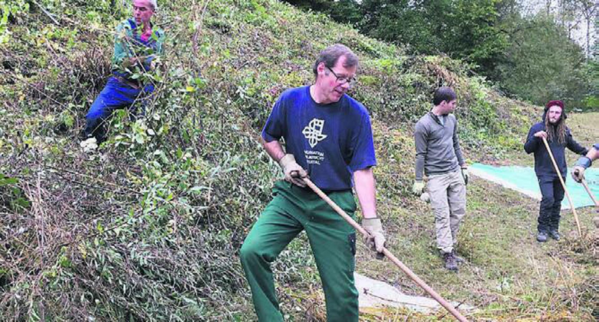 Das Naturschutzgebiet Steirüti zwischen Rottenschwil und Hermet-Bild: zg