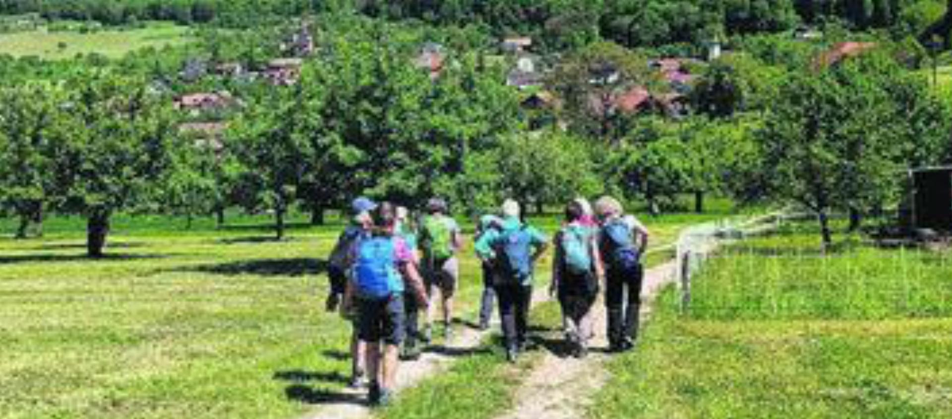 Die Gruppe genoss die Rundwanderung im Kanton Solothurn. Bild: zg