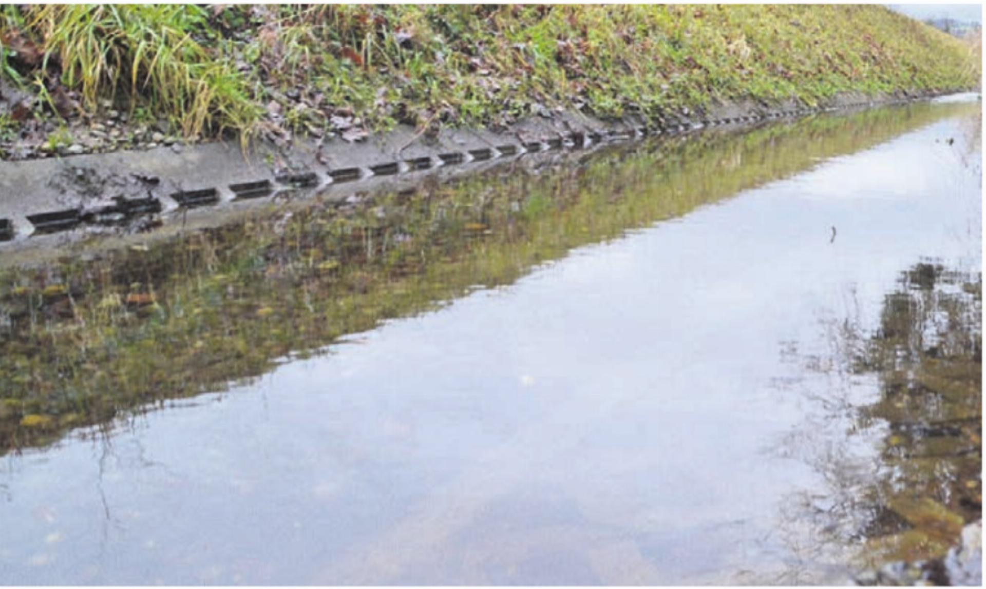 Der Girizkanal soll von seiner Beton-Gitterstein-Sohle befreit werden. Bild: tst - Das Bild wird blockiert. – Möglicherweise durch einen aktiven Adblocker.