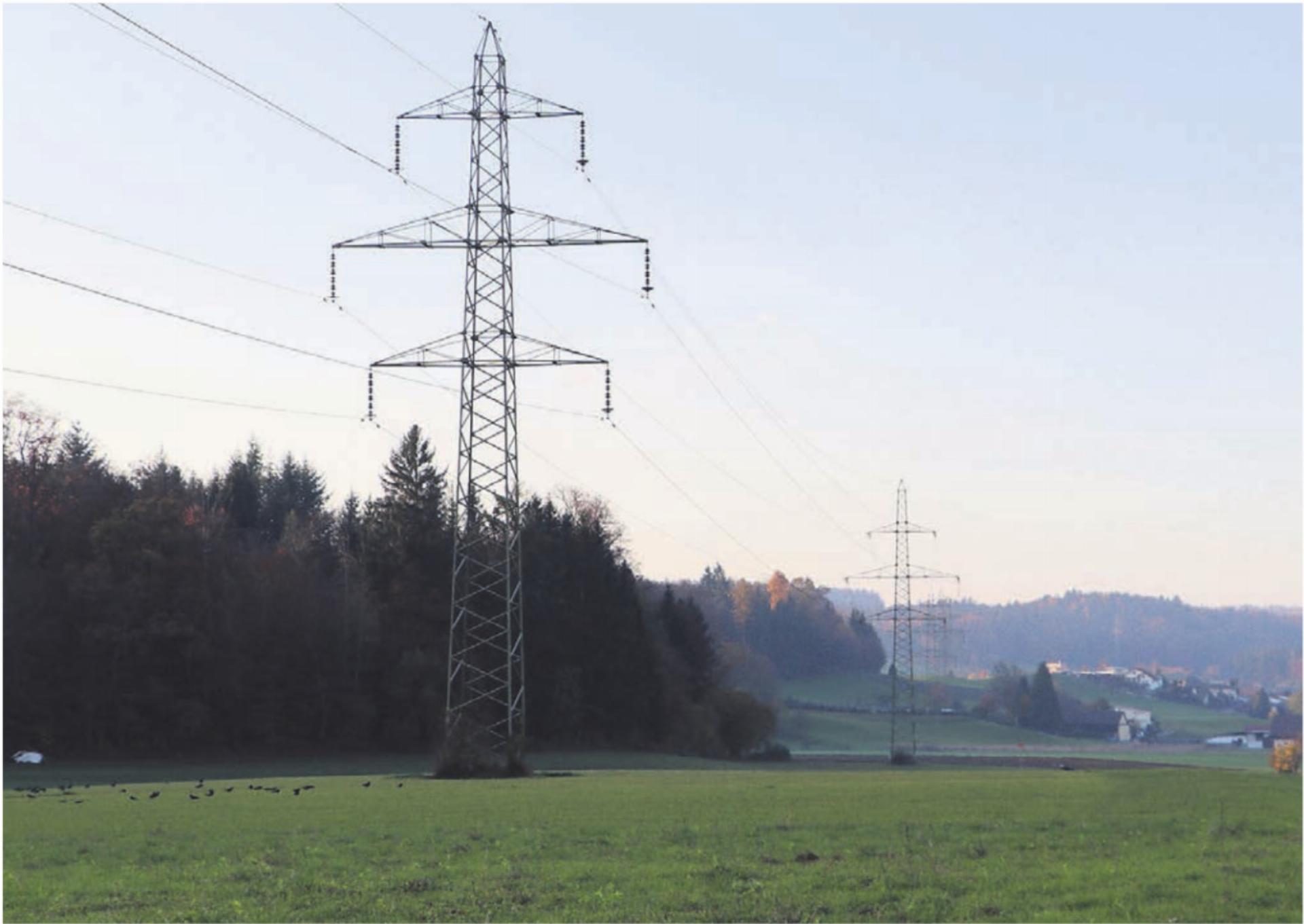 Für die Netzbetreiberin Swissgrid ist der Abschnitt durchs Freiamt von «nationaler Bedeutung». Bilder: zg - Das Bild wird blockiert. – Möglicherweise durch einen aktiven Adblocker.