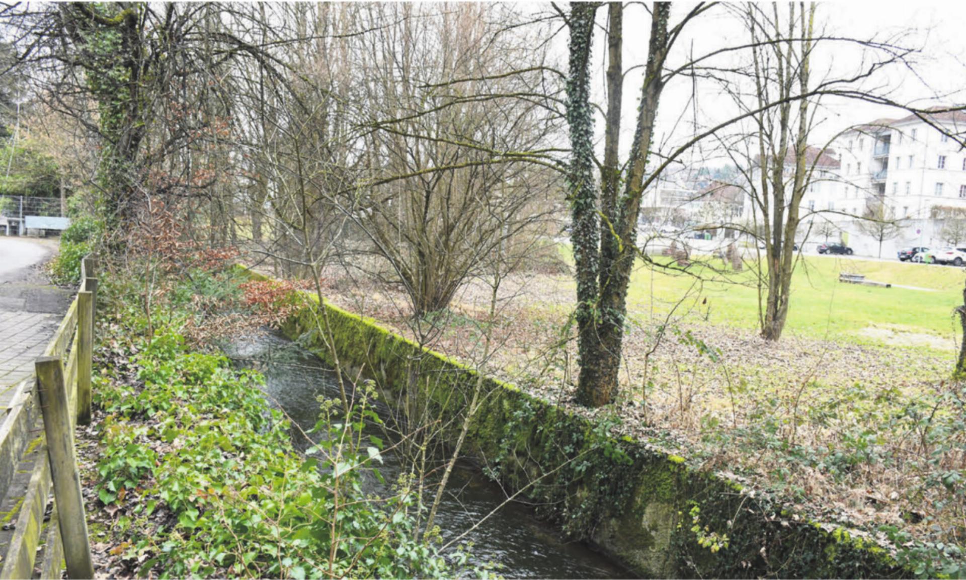 Der Bünz muss unbedingt Sorge getragen werden – vor allem auch beim Isler-Areal (rechts): Dies ist das eine Ziel der Motion. Mit der Argumentation soll zugleich beigetragen werden, dass die Beschwerde gegen die Baubewilligung Stach erfolgreich sein kann.
Bild: Daniel Marti - Das Bild wird blockiert. – Möglicherweise durch einen aktiven Adblocker.