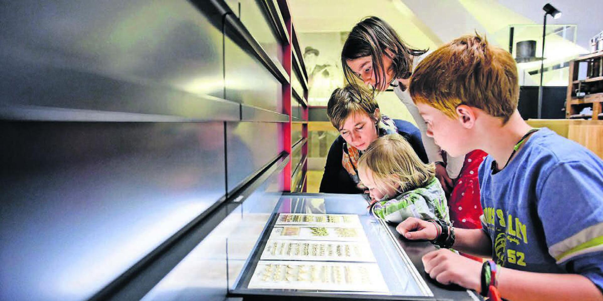 Besonders empfehlenswert und viel besucht ist 
das Schweizer Strohmuseum, das auf anschauliche Weise die Geschichte der Strohindustrie vermittelt, die Wohlen einst international bekannt machte.
Bild: Felix Wey