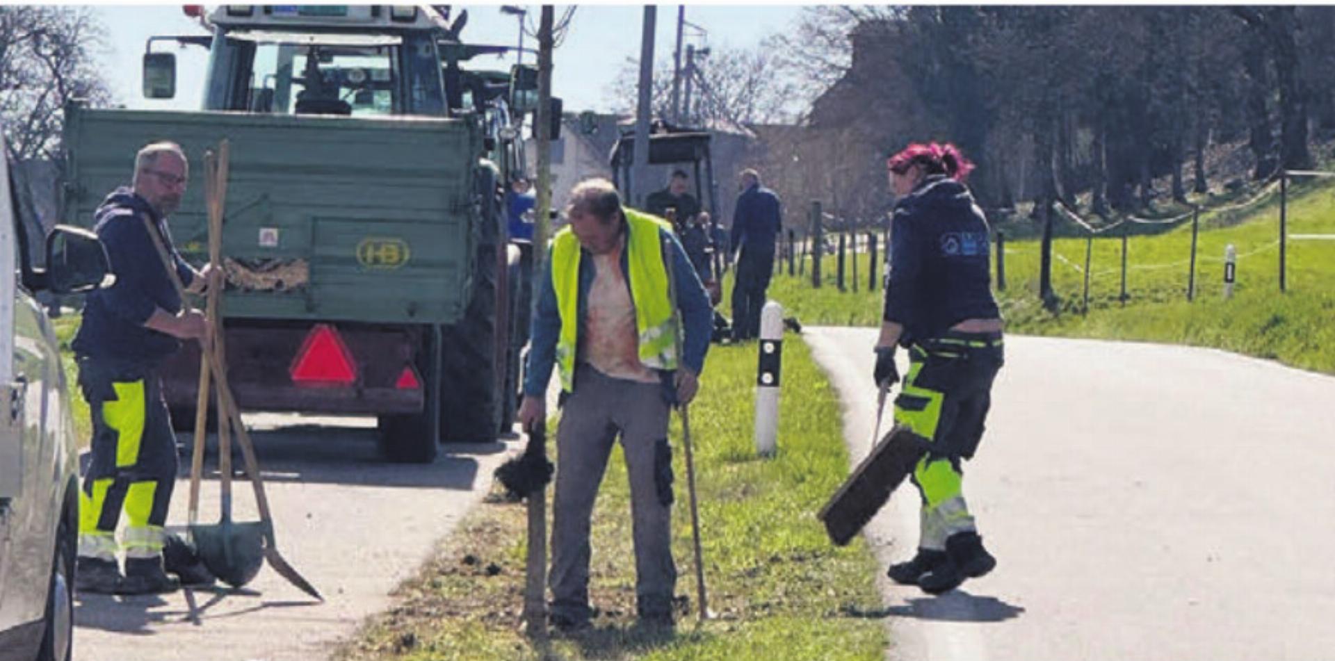 Der Technische Dienst und die Landwirte arbeiten Hand in Hand, um entlang des Velowegs eine Baumreihe zu pflanzen. Bild: gk - Das Bild wird blockiert. – Möglicherweise durch einen aktiven Adblocker.