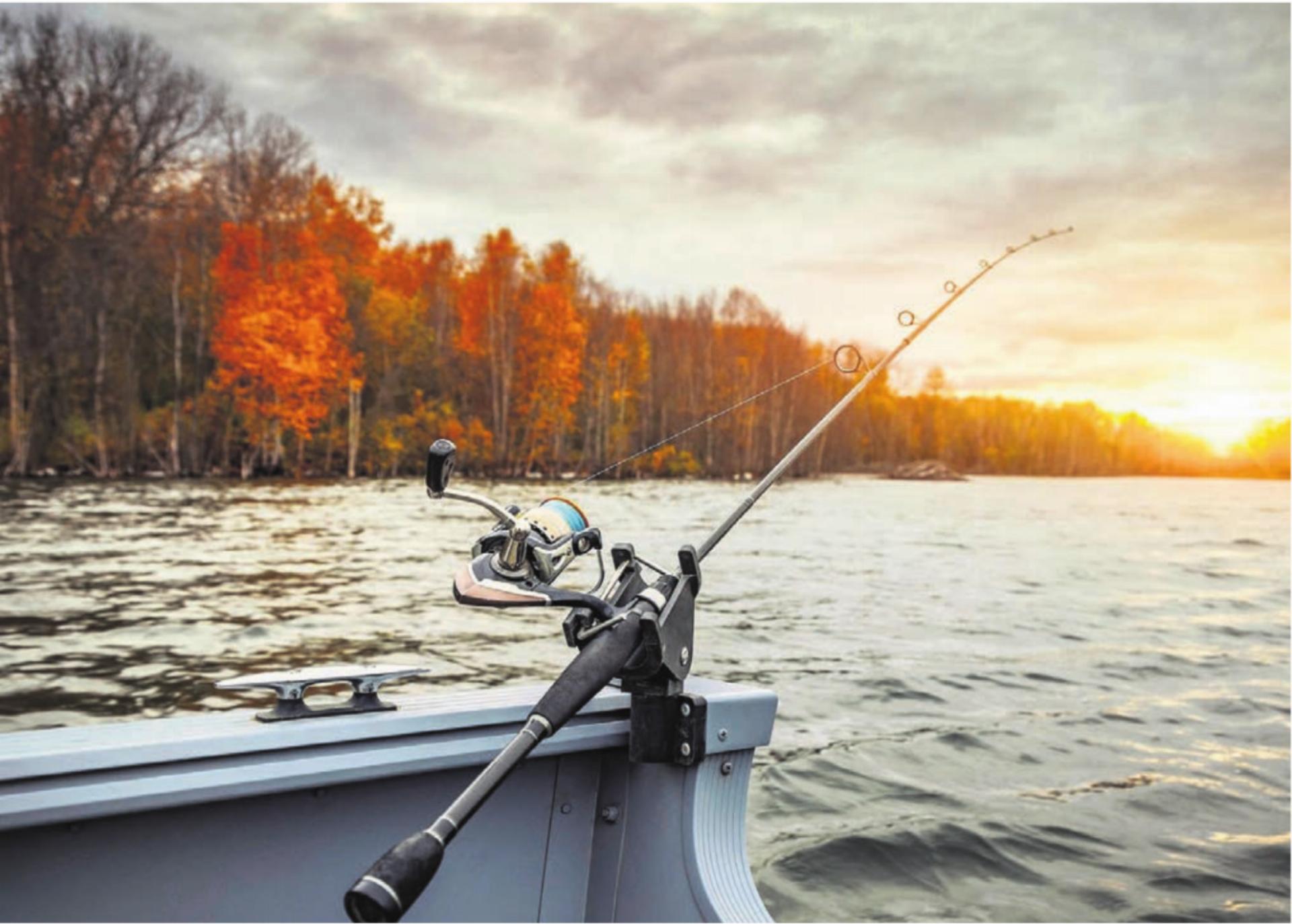 Wie schon im Zugersee wurde nun auch bei Fischen im Hallwilersee eine zu hohe PFAS-Belastung festgestellt. PFAs sind verschiedene Chemikalien, die kaum abbaubar sind und die als gesundheitsschädlich gelten. Bild: pixabay - Das Bild wird blockiert. – Möglicherweise durch einen aktiven Adblocker.