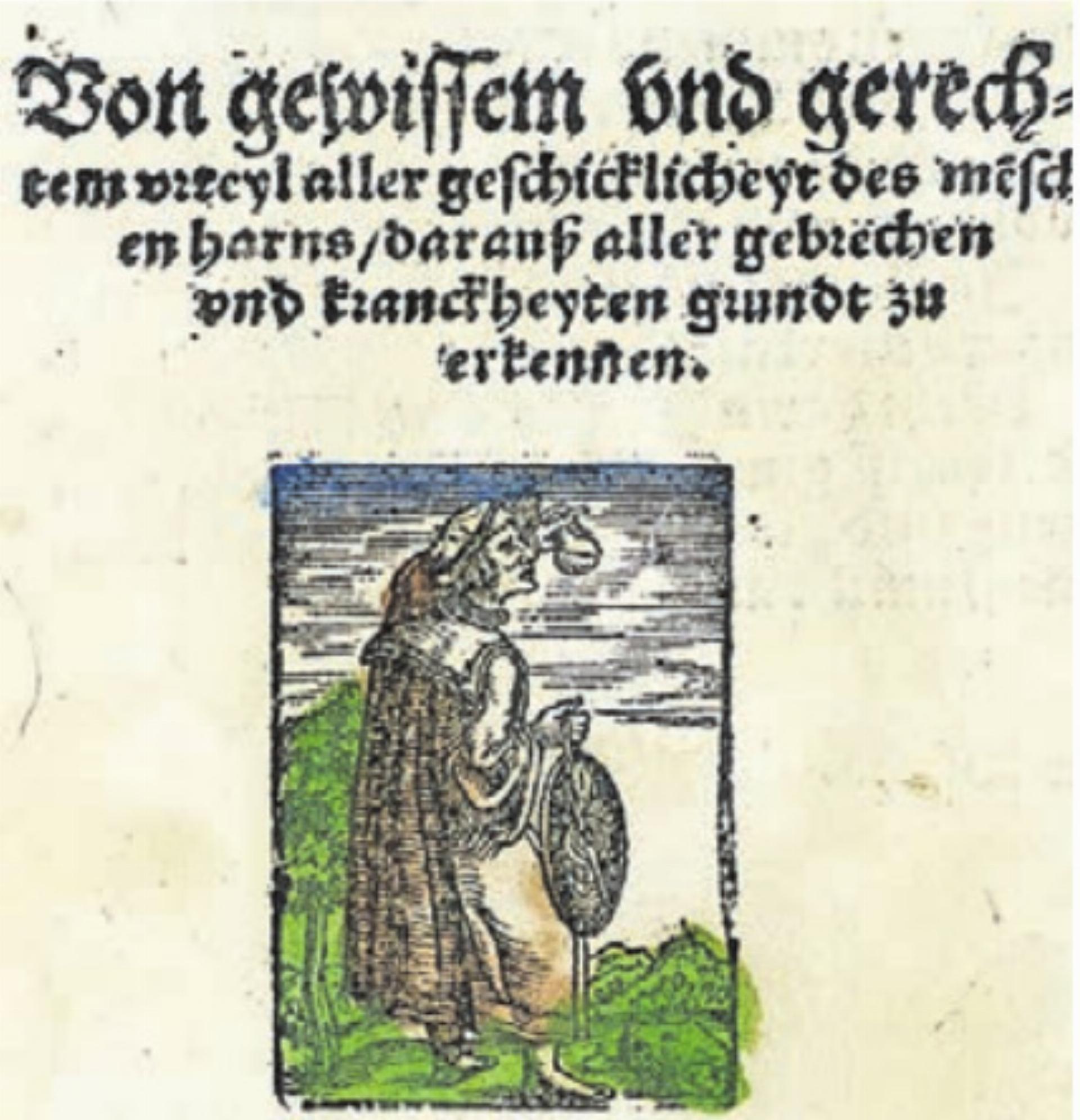 Viele spannende Einblicke. Bild: zg - Das Bild wird blockiert. – Möglicherweise durch einen aktiven Adblocker.